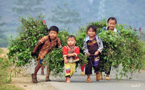 Quỹ trái tim cho em - Hỗ trợ trẻ em nghèo vượt khó đến trường