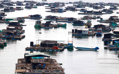 Hai ngày ở xứ biển, đảo Kiên Giang