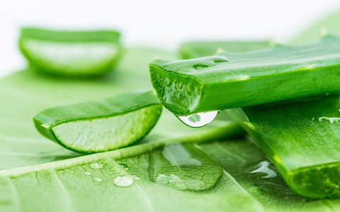 Bí quyết dưỡng trắng da bằng nha đam đơn giản mà nàng nghiện chăm da bổ rẻ cần biết