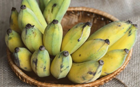 Chuối xiêm (chuối sứ) và bài thuốc dân gian ngăn ngừa đột quỵ