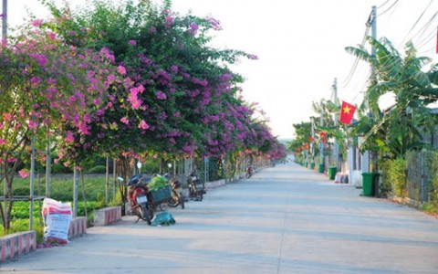 Môi trường bảo vệ ai - Ai bảo vệ môi trường...?
