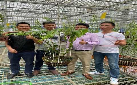 Nghệ nhân Nguyễn Phương Hồng, chủ Vườn Lan Lê Sơn (Hòa Bình): Hoa lan đã kết nối cho ông muôn tình bạn