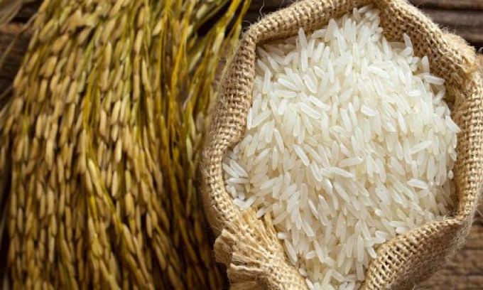 Giá lúa gạo hôm nay ngày 18/11: Giá lúa gạo đi ngang