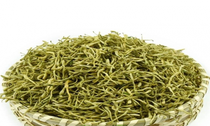 Kim ngân hoa – vị thuốc quý trong Đông y